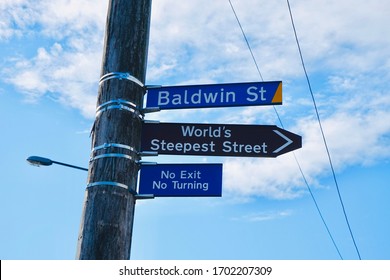 Baldwin Street, World Steepest Street