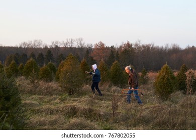 Baldwinsville, NY, 12-03-17:  Grandparents Search For The Perfect Christmas Tree At A Farm.