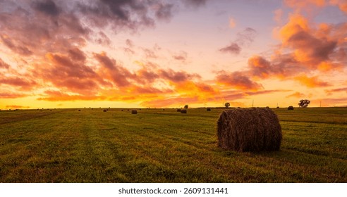 A bale of hay in field under dramatic sunset sky. Golden hour in farm landscape. Rural scene for agriculture concept. Harvest and countryside background.