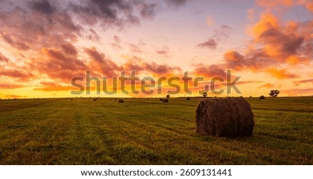 A bale of hay in field under dramatic sunset sky. Golden hour in farm landscape. Rural scene for agriculture concept. Harvest and countryside background.
