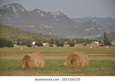 Baled dry hay in a field in Grobnik near the city of Rijeka in Croatia.Straw field with round dry hay bales in front of mountain range. - Powered by Shutterstock