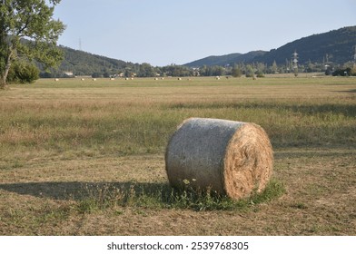 Baled dry hay in a field in Grobnik near the city of Rijeka in Croatia.Straw field with round dry hay bales in front of mountain range. - Powered by Shutterstock