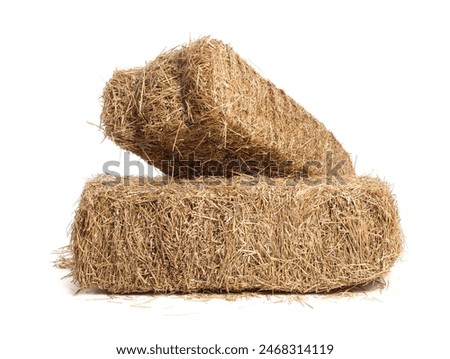 Similar – Image, Stock Photo Straw bales on harvested field with blue sky