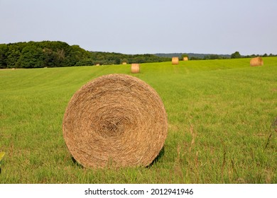 Bales Of Hay In A Field In Northern Michigan In The Summer.