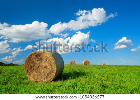 Bales of Hay in Green Field of Clover under Blue Sky with Clouds