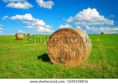 Bales of Hay in Green Field under Blue Sky with Clouds