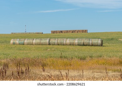 Bales Of Hay Lined Up On A Alberta Farm Field