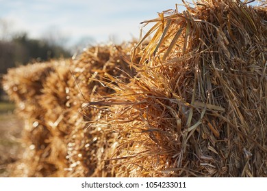 Hay Bales For Sale Hd Stock Images Shutterstock