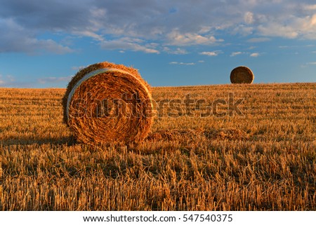 Bales of Straw in Stubble Field during Harvest, Warm Light of the Setting Sun, Blue Sky with Clouds