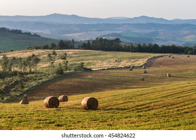 Bales of straw at sunset in Tuscany. Italy.