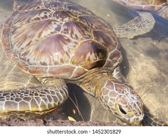 Pulau Penyu Images, Stock Photos u0026 Vectors  Shutterstock