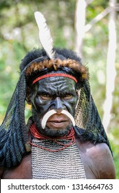 232 Koteka papua Images, Stock Photos & Vectors | Shutterstock