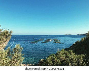 Balikesir, Turkey - June 8, 2022: Fish Farm View From Land At Denizkoy Dikili Izmir