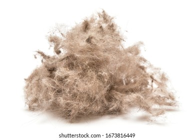 Ball of animal hair fur, cat or dog hair on the white background. - Shutterstock ID 1673816449