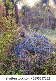 Ball Of Barbed Wire, Also Known As Barb Wire, Is A Type Of Steel Fencing Wire Constructed With Sharp Edges Or Points Arranged At Intervals Along The Strands. Tumble Weed Of Fence Wire