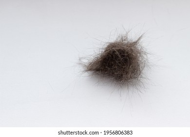 A Ball Of Cat Hair Against A Light Background. Wool After Grooming A Pet On A White Background. Cat Fur Isolated On White Background, Close Up. Copy Space. Allergy Source