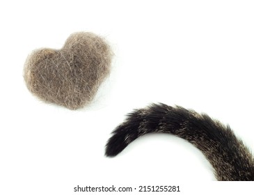 A Ball Of Cat Hair, A Comb For Combing Cat Hair. The Tail Of A Cat On A White Isolated Background. Animal Care. Wool Heart.