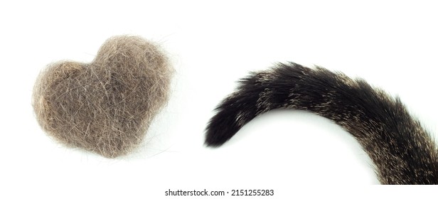 A Ball Of Cat Hair, A Comb For Combing Cat Hair. The Tail Of A Cat On A White Isolated Background. Animal Care. Wool Heart.