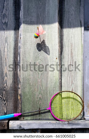 Ball and the racket of badminton