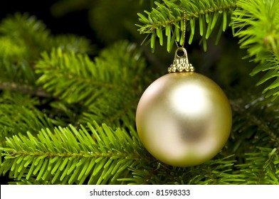 Ball Shape Christmas Decoration In Real Tree