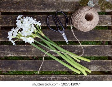 Ball of twine and gardening scissors with a bunch of white narcissi flowers on a wooden slat bench