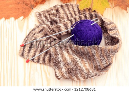a ball of wool and around a scarf. two knitting needles stuck in them on a wooden background. There are yellow maple leaves without attention.