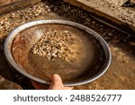 Ballarat, Victoria, Australia: Panning for gold at Sovereign Hill, a fascinating recreation of an 18th-century goldrush town in central Victoria.