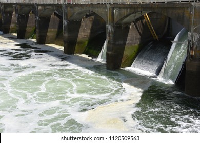 The Ballard Locks.
