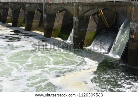 The Ballard Locks.