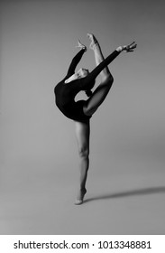 Ballerina in elegant pose 