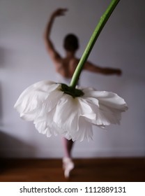 Ballerina Forced Perspective 