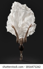 Salto elegante Ballerina con