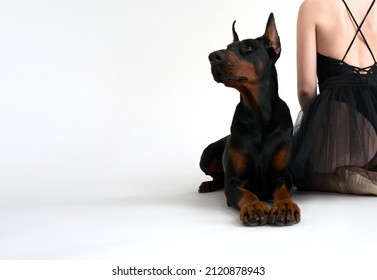 A ballerina sitting on the floor next to a Doberman. The embodiment of beauty, grace and aristocracy.  Copy space.                                          
