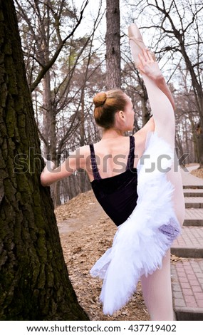 ballerina in a tutu
