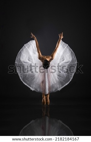 Ballerina in unusual poses. A graceful girl with an elegant figure. Pointe shoes. Flexible gymnast. Ballet photo shoot, dancer