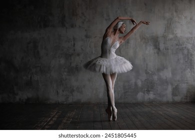 Ballerina in a white ballet costume dances the part of the swan from the ballet Swan Lake. - Powered by Shutterstock