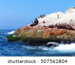 Ballestas Islands Reserve in Peru. Ballestas islands are an important sanctuary for marine fauna