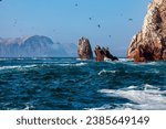 The Ballestas Islands  (Spanish: Islas Ballestas) are a group of small islands near the town of Paracas within the Paracas District of the Pisco Province in the Ica Region,