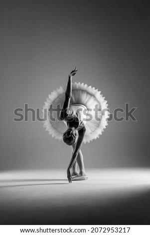 ballet. classical ballerina dance. Classical ballet performed by a dancer on stage