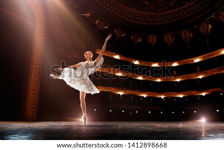 Ballet. Classical ballet performed by a couple of ballet dancers on the stage of the opera house.