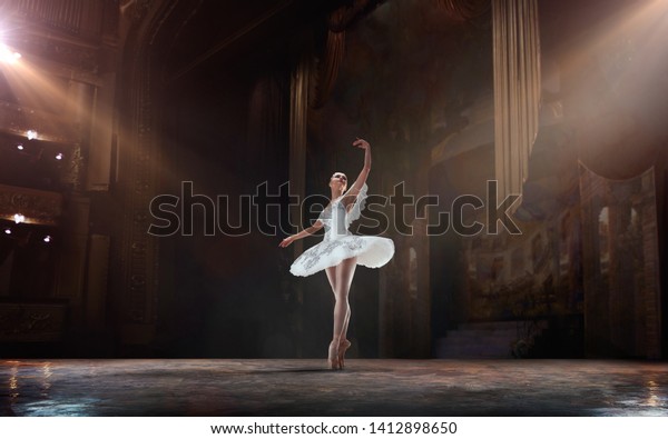 Ballet. Classical ballet\
performed by a couple of ballet dancers on the stage of the opera\
house.
