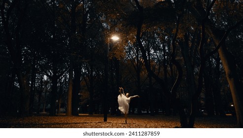 Ballet, dance and night or outdoor performance at park street lamp or outdoor, practice or creative artist. Female person, leg and dress on pointe in Japanese garden or talent, entertainment or skill - Powered by Shutterstock