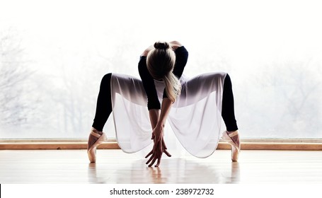 Ballet Dancer - Powered by Shutterstock