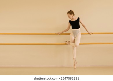 Ballet dancer practicing at the barre, wearing black leotard and pointe shoes. - Powered by Shutterstock