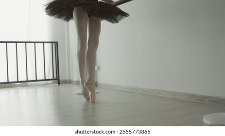 A Ballet dancer practicing in studio with graceful pose and tutu - Powered by Shutterstock