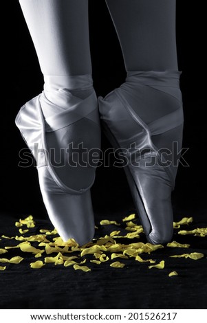 A ballet dancer standing on toes with rose petals on black background artistic conversion