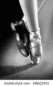 Ballet & Tap Dancing shoes