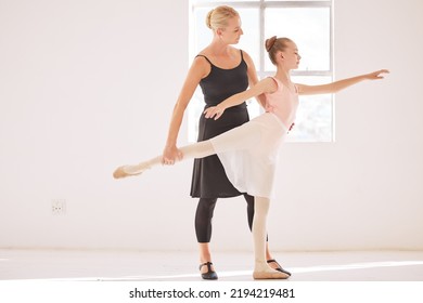 Ballet Teacher Teaching Student Dance Class Stock Photo 2194219481 ...