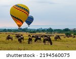 Balloon safari in Maasai Mara, Kenya with Wildebeest migration beneath.