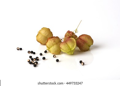 Cardiospermum Halicacabum Imagenes Fotos De Stock Y Vectores Shutterstock Cardiospermum Halicacabum Imagenes Fotos De Stock Y Vectores Shutterstock